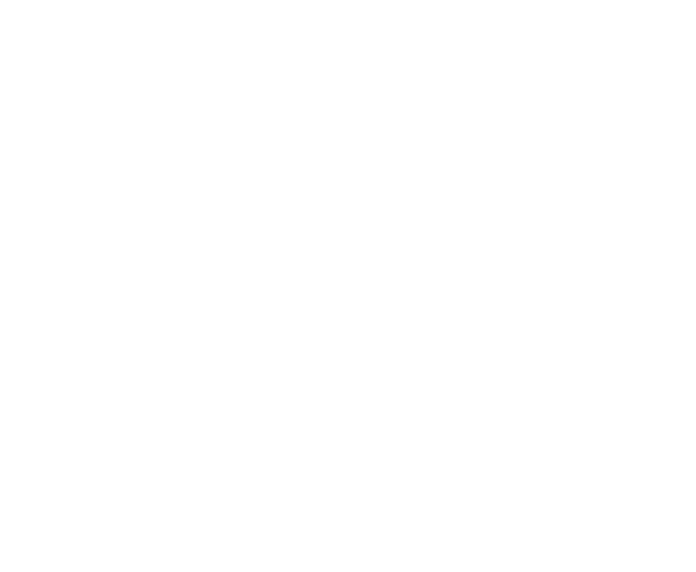 logo branca 
